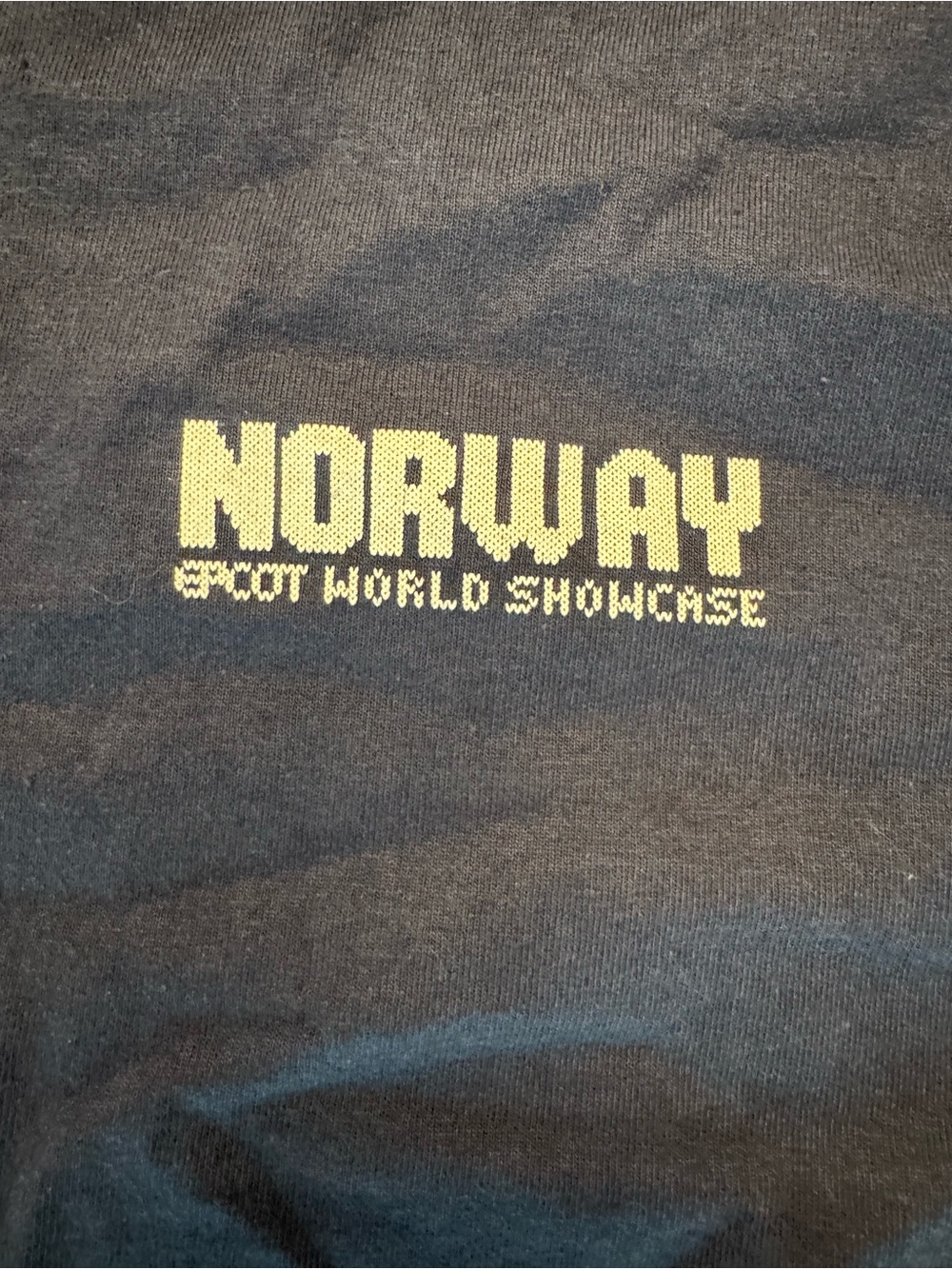 Disney Navy T-Shirt with Gold Interior Logo Print